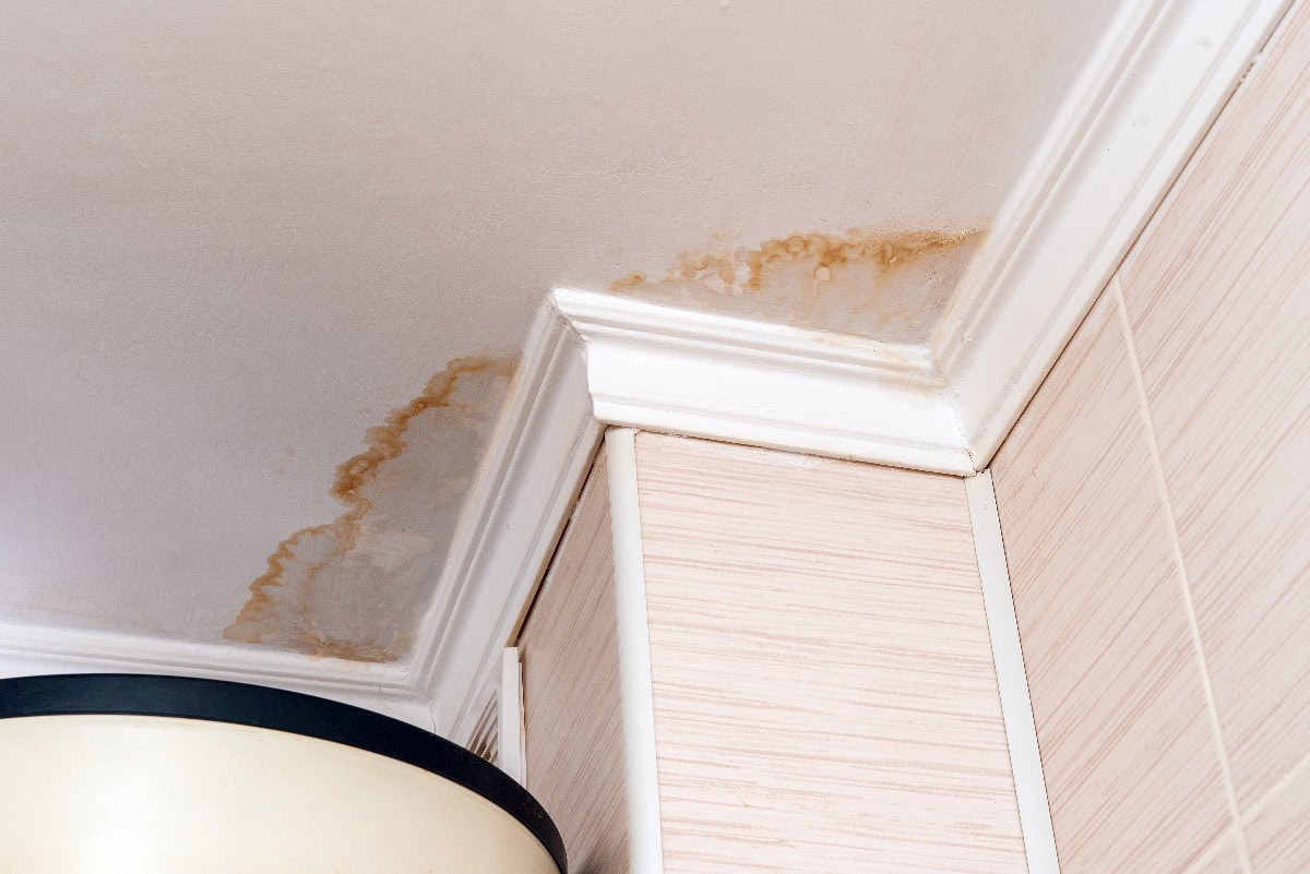 Water Leak Water Damaged Ceiling Causing Brown Staining