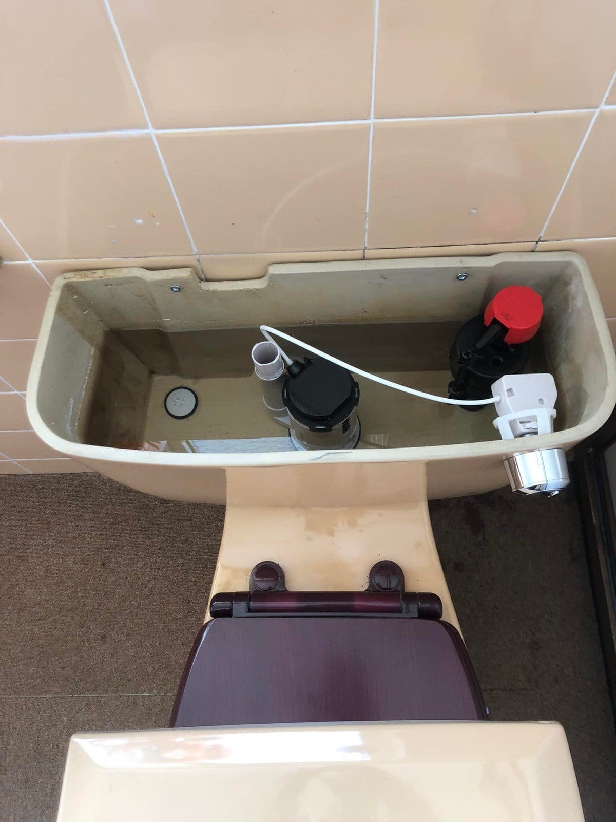 Faulty Toilet Flush Repair